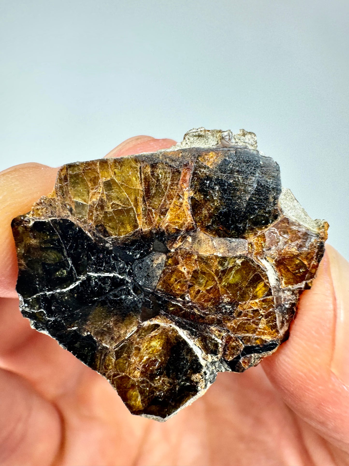 Seymchan Pallasite Meteorite - Huge Olivine Section! 5.6g