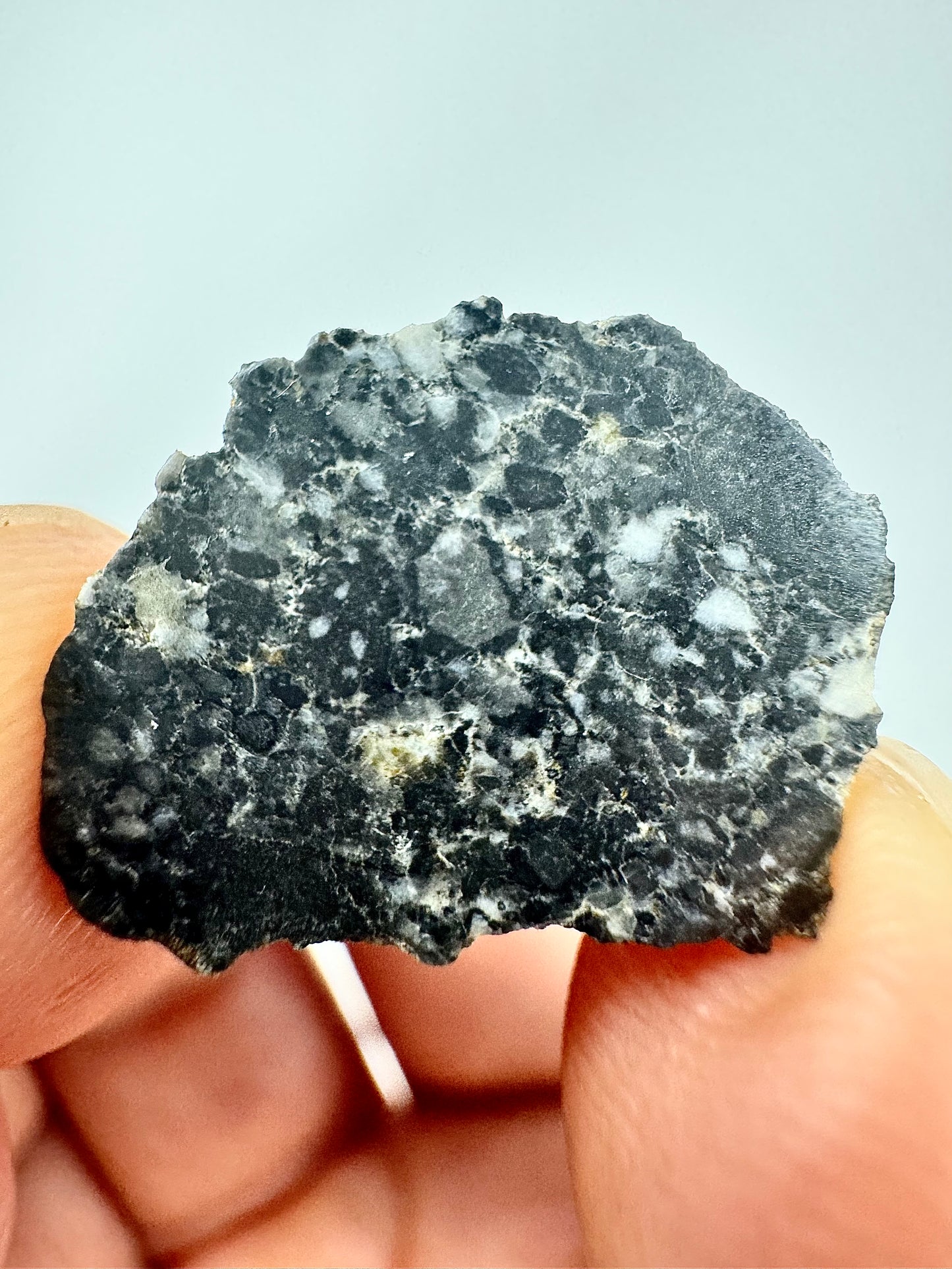 Bechar 003 Lunar Feldspathic Breccia - 1.2g - Polished - From Our Moon!