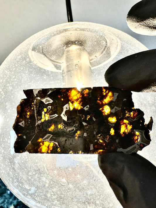 Beautifully Translucent Seymchan Pallasite Meteorite - 30.5g - From An Asteroid