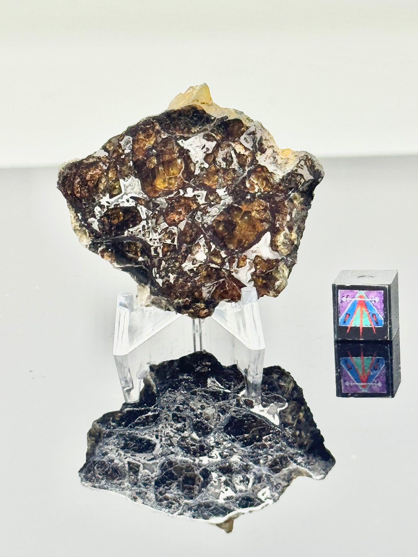 16.6g Admire Pallasite Meteorite - From The Mantle/Core Of An Asteroid - Grade B Translucency