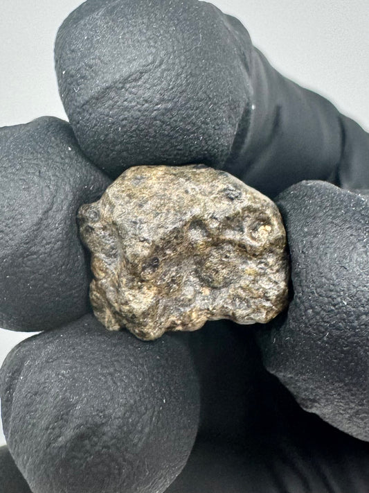 3.1g Genuine Martian Meteorite Amgala 001 - Whole Individual! Scientifically Studied Rock From Planet Mars