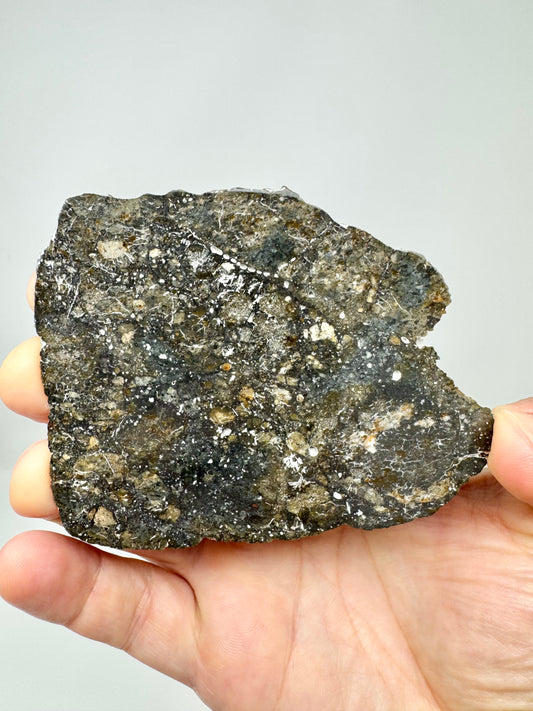 NEW/FULL SLICE: Breathtaking Lunar With Blue Tint and Vugs! Pending  Classification - A Genuine Stone From Our Moon! 27.9g