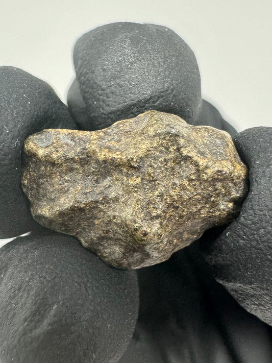 3.6g Genuine Martian Meteorite Amgala 001 - Whole Individual! Scientifically Studied Rock From Planet Mars