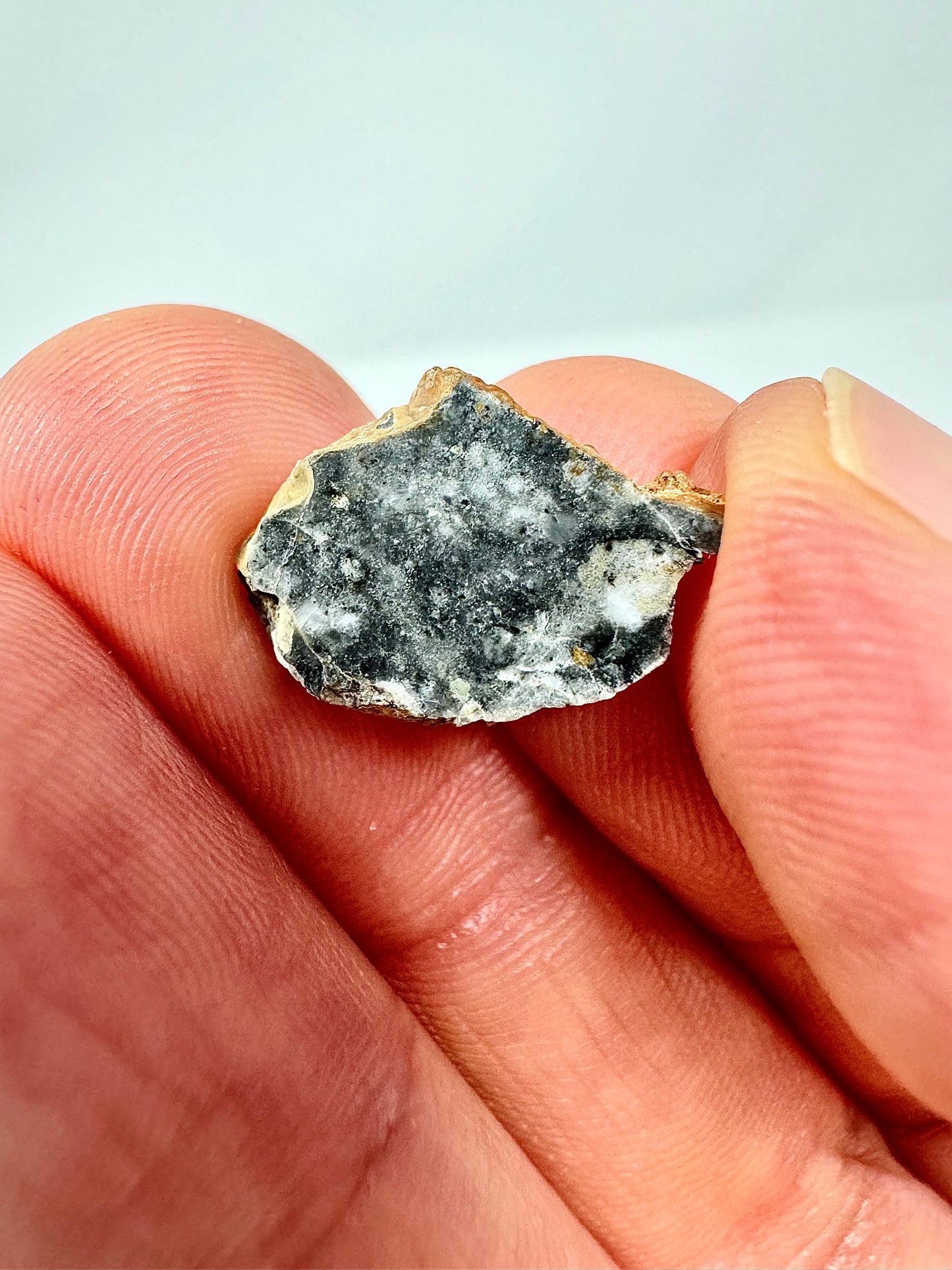 Bechar 003 Lunar Feldspathic Breccia 0.8g - Polished