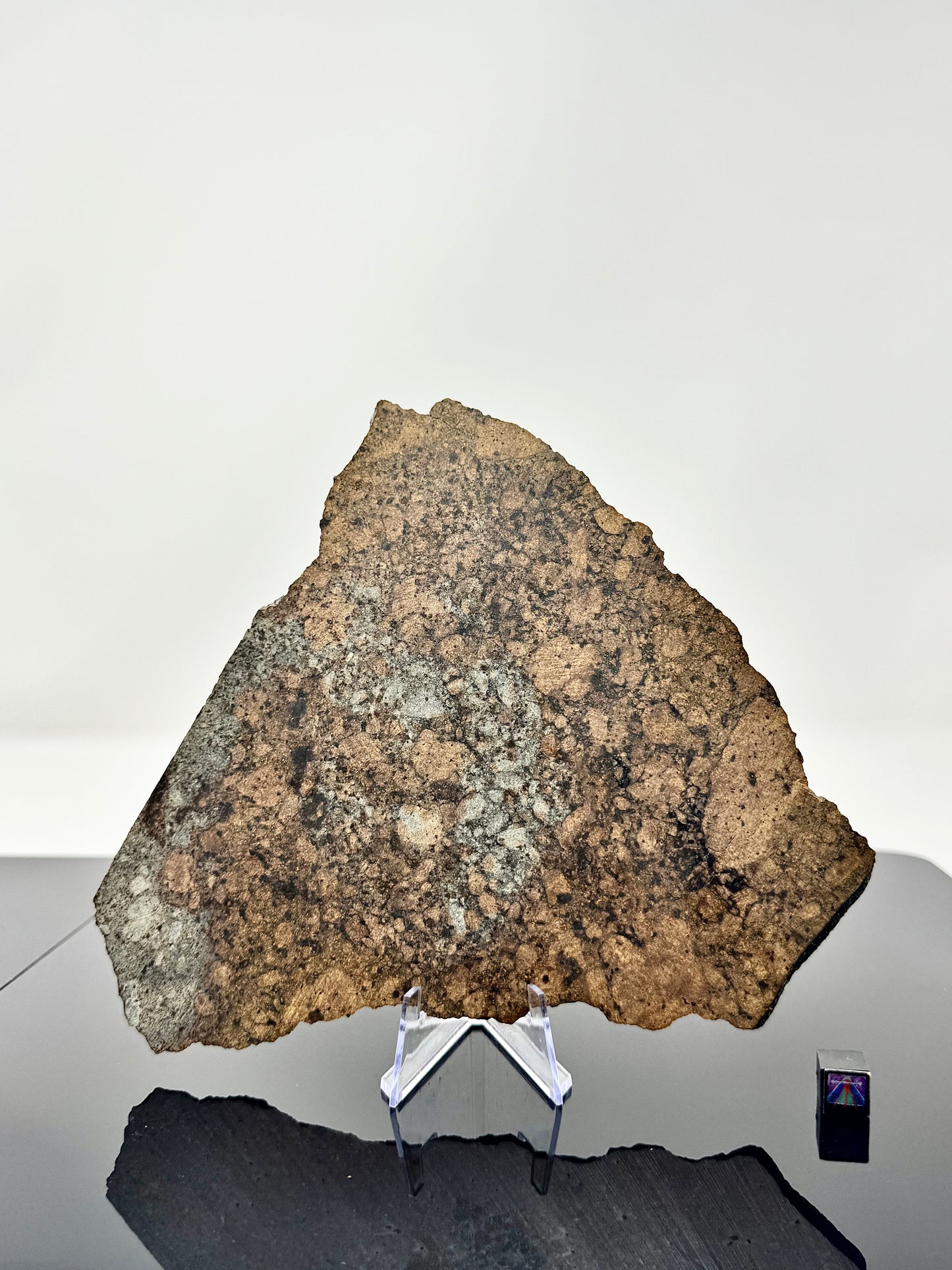 Full Slice of NWA 15953 Diogenite Meteorite -186.2g - Dual Lithology - From An Asteroid!