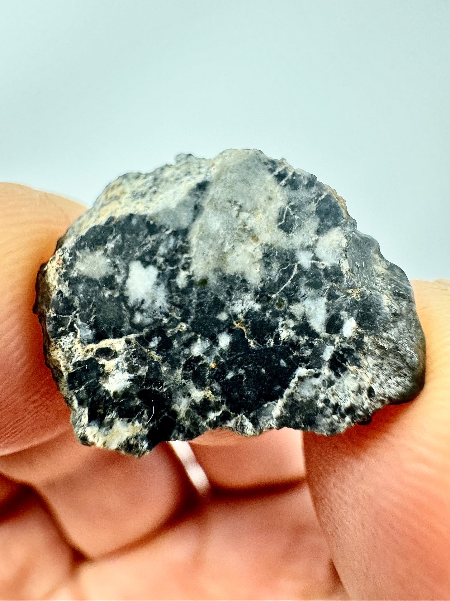 Bechar 003 Lunar Feldspathic Breccia - 1.2g - Polished - From Our Moon!