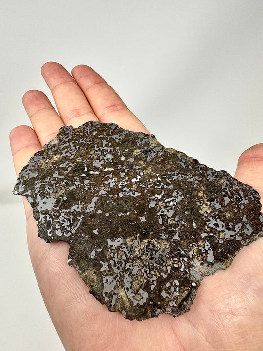 65.1g El Milhas 005 Mesosiderite Meteorite - The Estherville Lookalike!