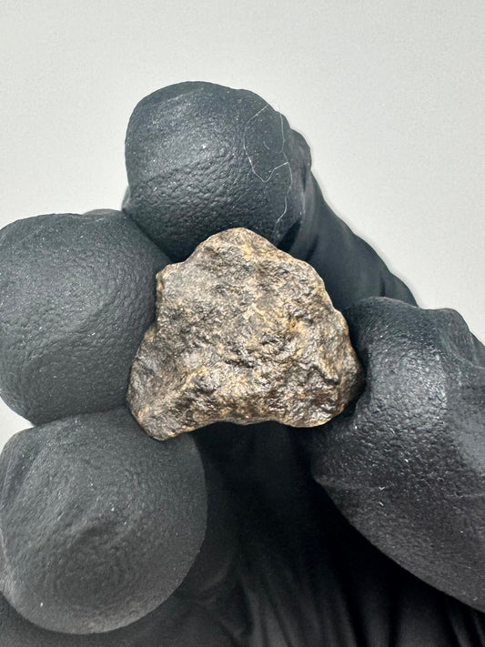 2.1g Genuine Martian Meteorite Amgala 001 - Whole Individual! Scientifically Studied Rock From Planet Mars