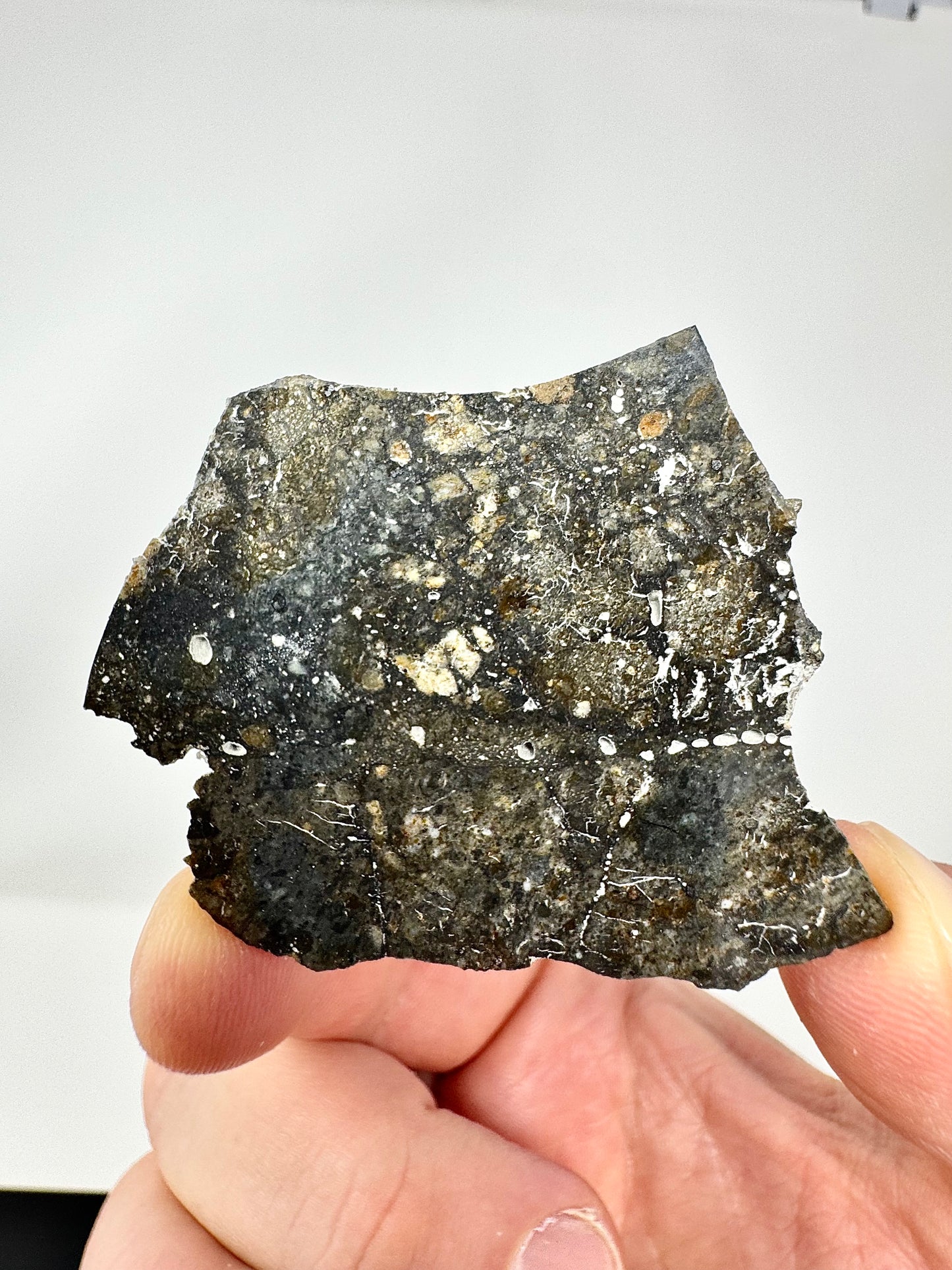 8.2g NWA 17680 “The Blue Lunar” Breathtaking Lunar Melt Breccia With Blue Tint! A Genuine Stone From Our Moon!