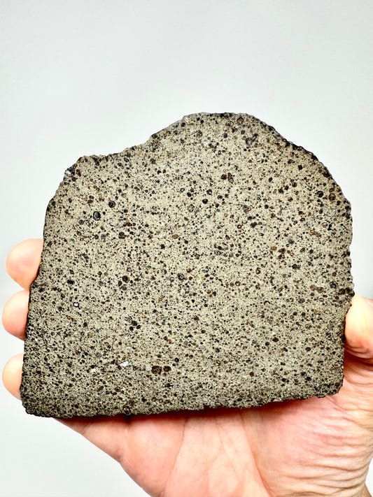 FULL SLICE! NWA 16314 Carbonaceous Chondrite - CK5 Meteorite - 74.6g - From A Carbonaceous Asteroid!