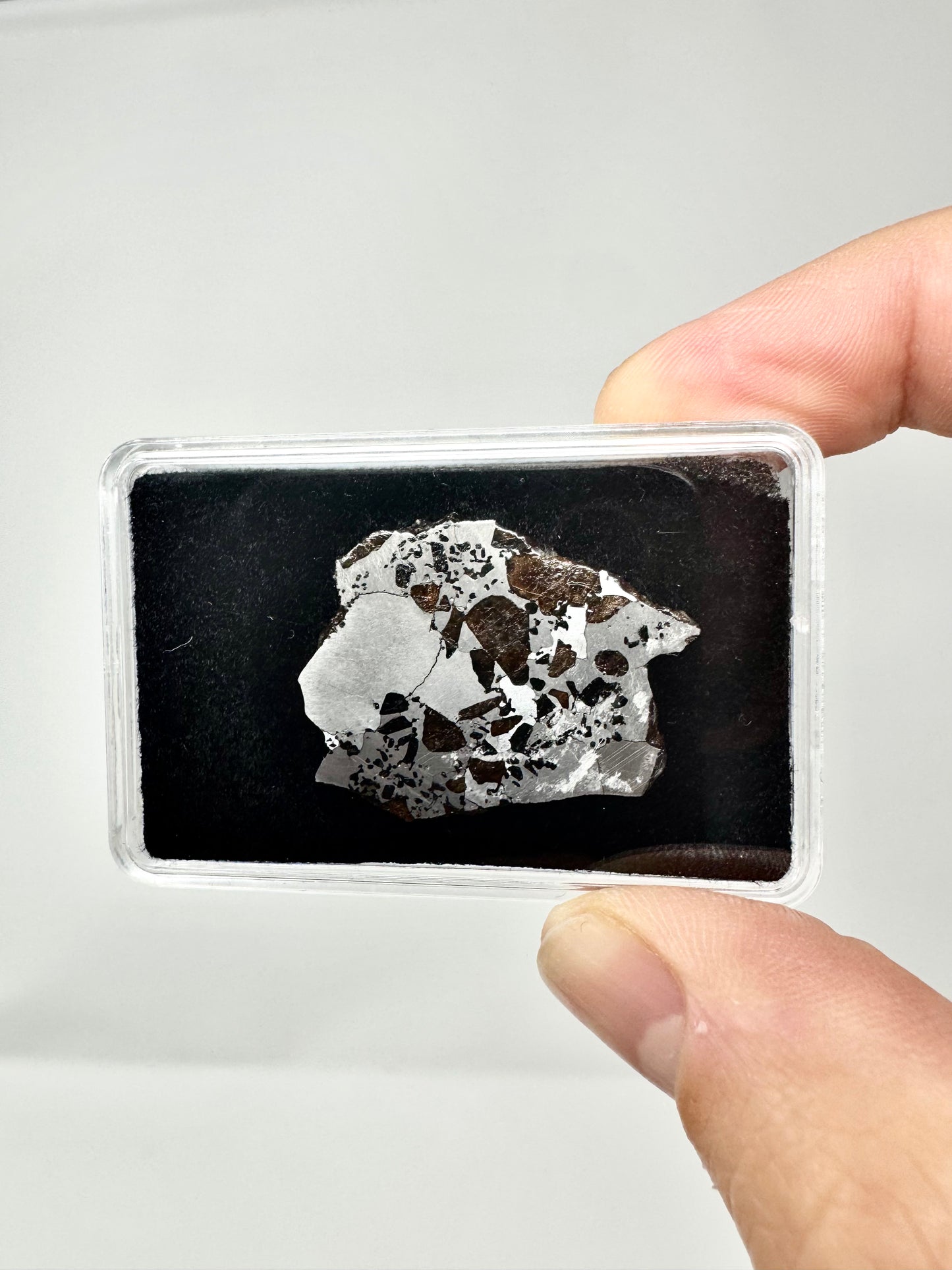 Hassi El Biod 002 Meteorite - 6.0g - A Rare, Ungrouped Olivine/Pyroxene Filled Pallasite!