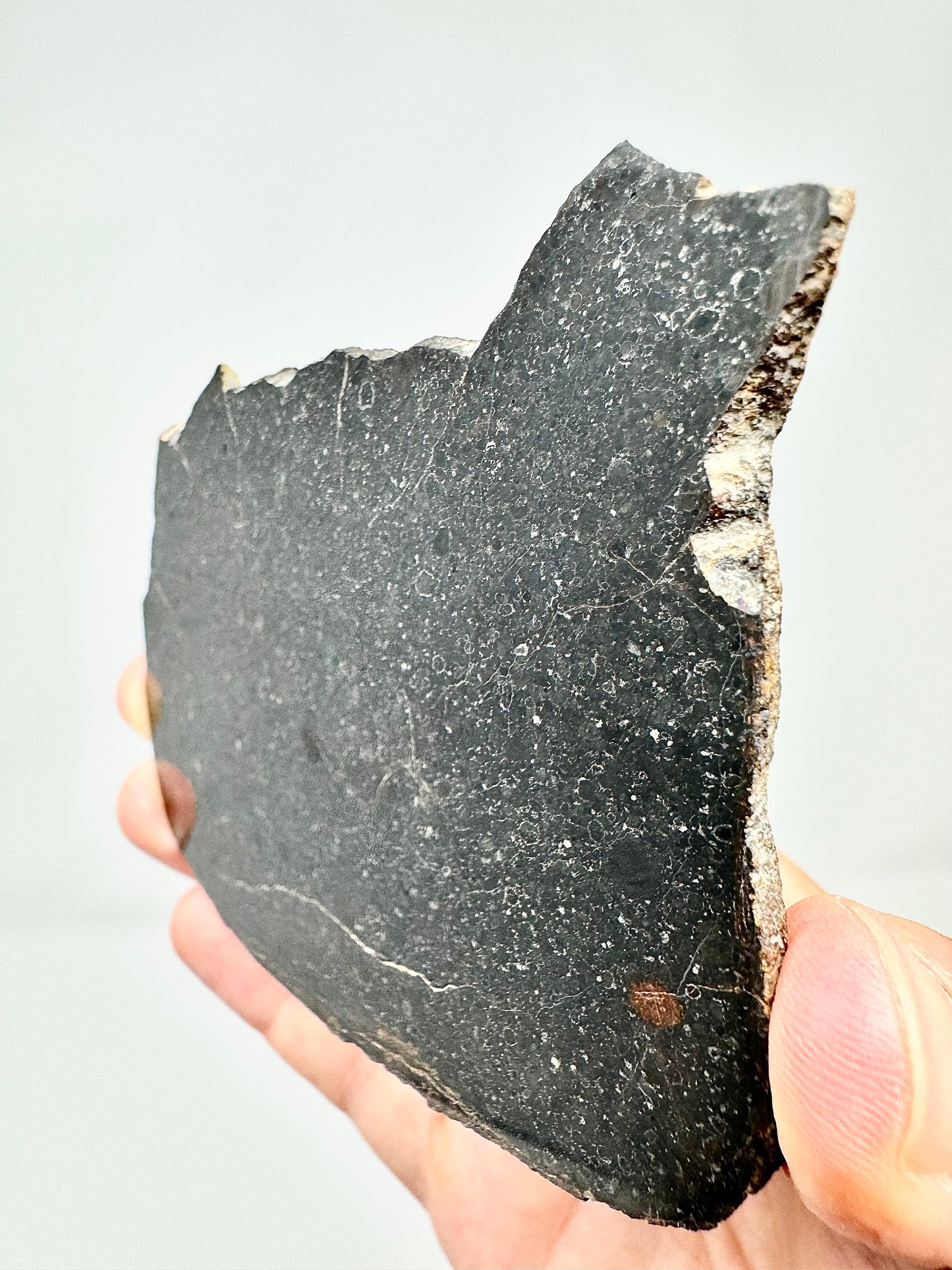 NWA 15825 L3 Chondrite Meteorite - Jet Black and Packed With Chondrules - 75.4g - From An Asteroid