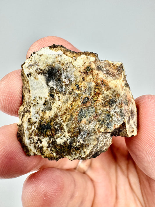 Djoua 001 Enstatite Achondrite Meteorite - STUNNING END CUT WITH JET BLACK CRUST! 18.8g