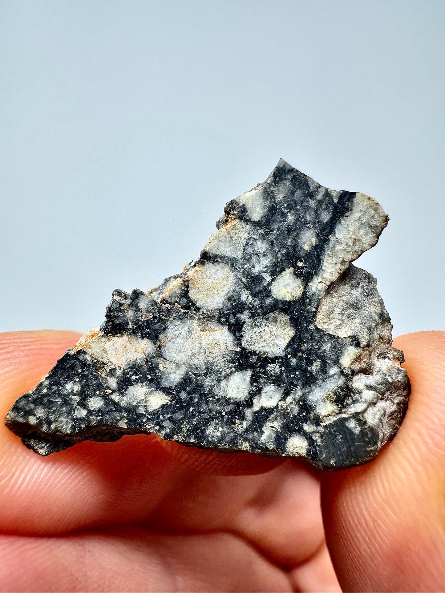 Stunning 1.7g Bechar 009 Lunar Feldspathic Breccia - Polished