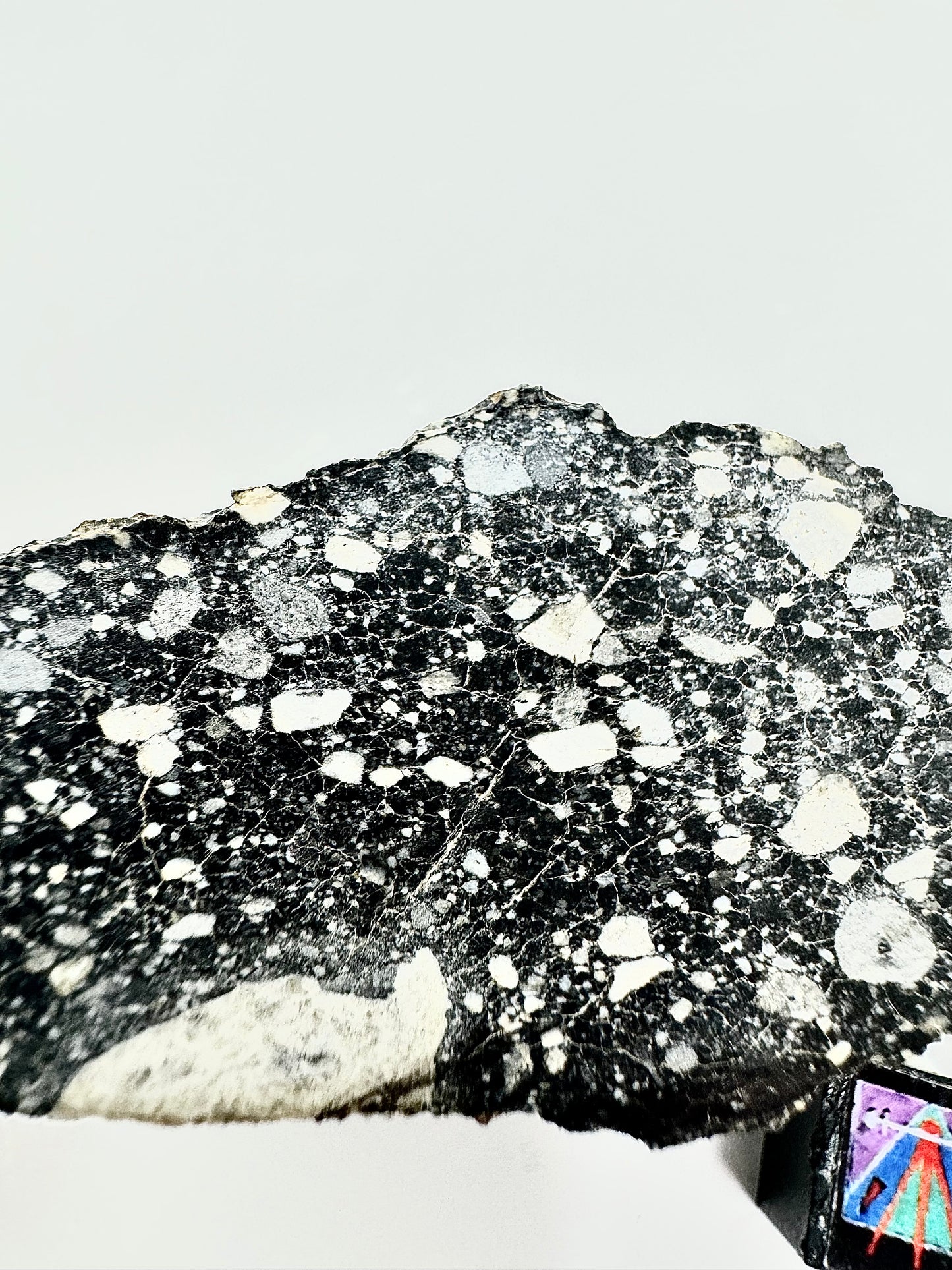 Massive Chunk of the Moon - NWA 14685 Lunar Fragmental Breccia End Cut - Polished - 80.9g