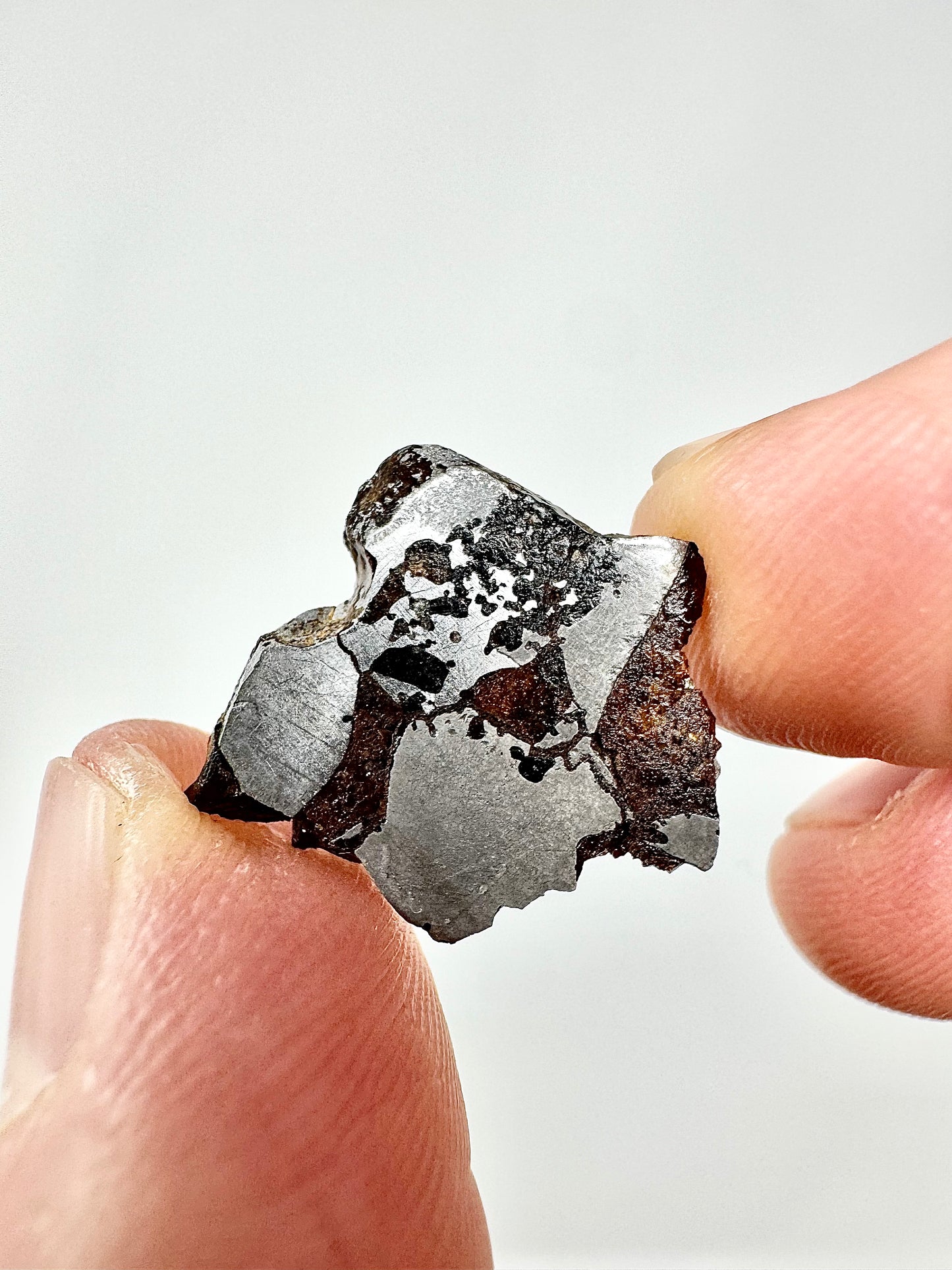 Hassi El Biod 002 Meteorite - 1.9g - A Rare, Ungrouped Olivine/Pyroxene Pallasite!