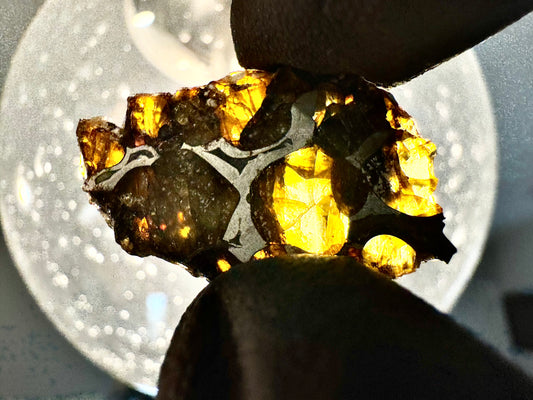 Beautifully Translucent Seymchan Pallasite Meteorite - 4.9g - From An Asteroid