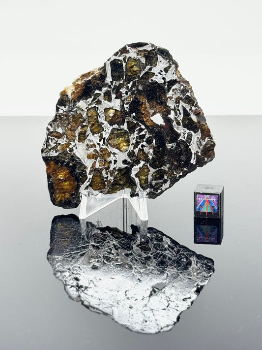 36.3g Admire Pallasite Meteorite w/ Natural Hole! From The Mantle/Core Of An Asteroid - Grade B Translucency