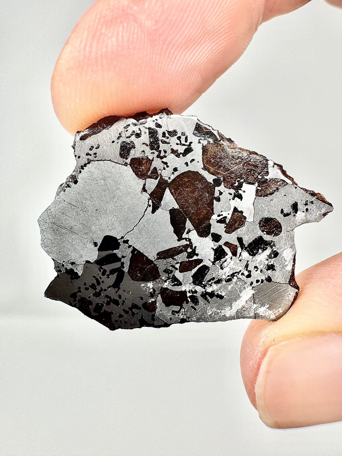 Hassi El Biod 002 Meteorite - 6.0g - A Rare, Ungrouped Olivine/Pyroxene Filled Pallasite!