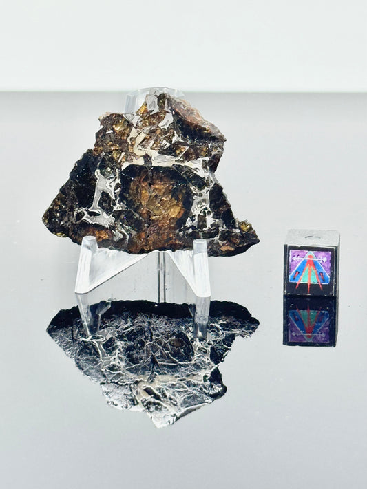 11.8g Admire Pallasite Meteorite - From The Mantle/Core Of An Asteroid - Grade B Translucency