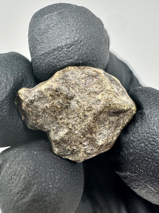 3.3g Genuine Martian Meteorite Amgala 001 - Whole Individual! Scientifically Studied Rock From Planet Mars