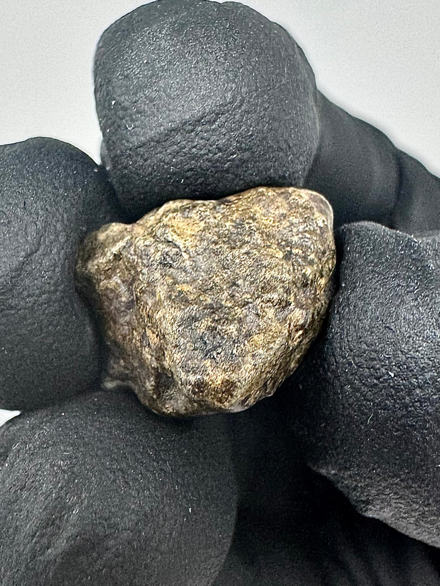 3.1g Genuine Martian Meteorite Amgala 001 - Whole Individual! Scientifically Studied Rock From Planet Mars