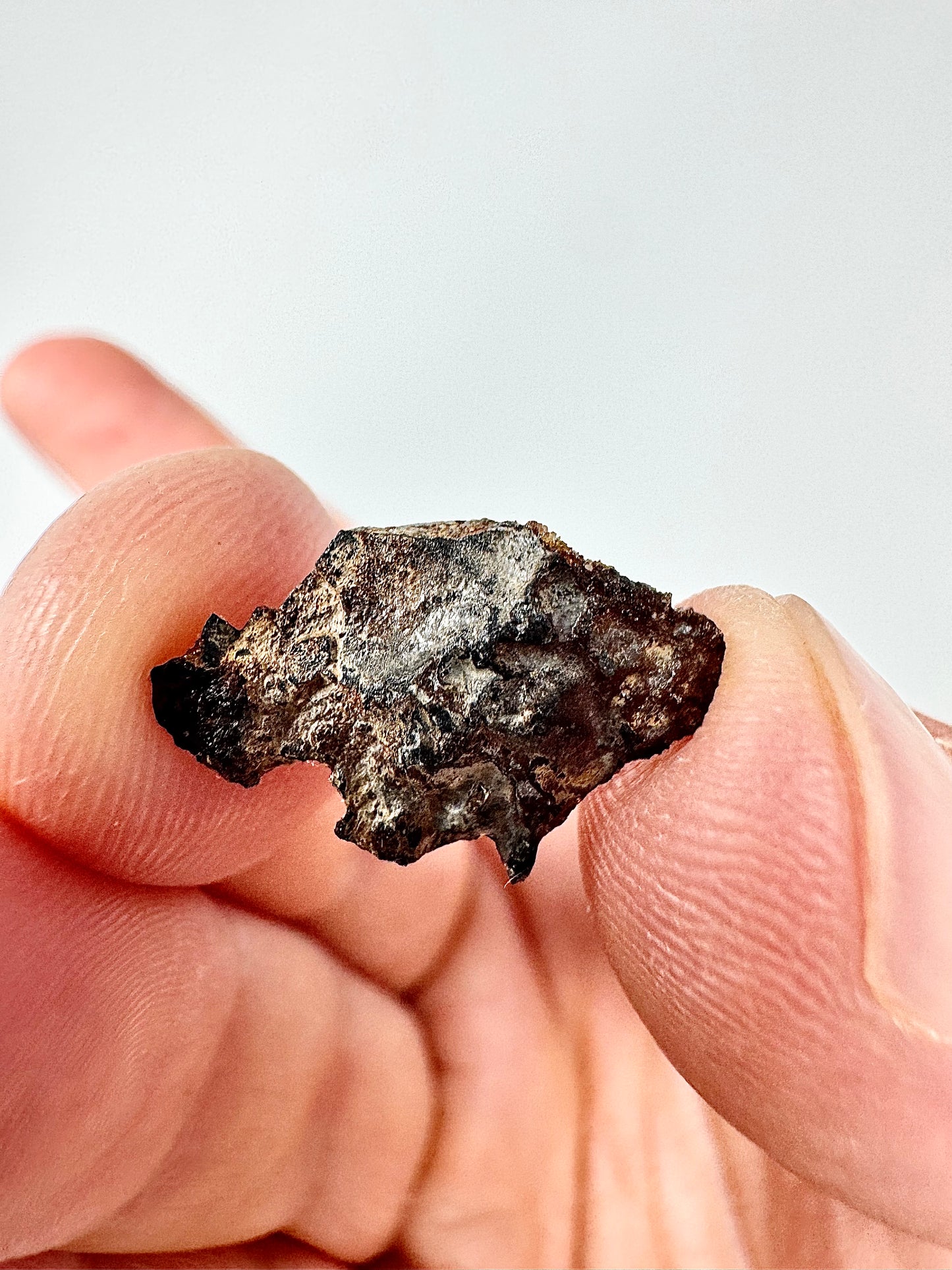 Hassi El Biod 002 Meteorite - 1.0g END CUT - A Rare, Ungrouped Olivine/Pyroxene Pallasite!