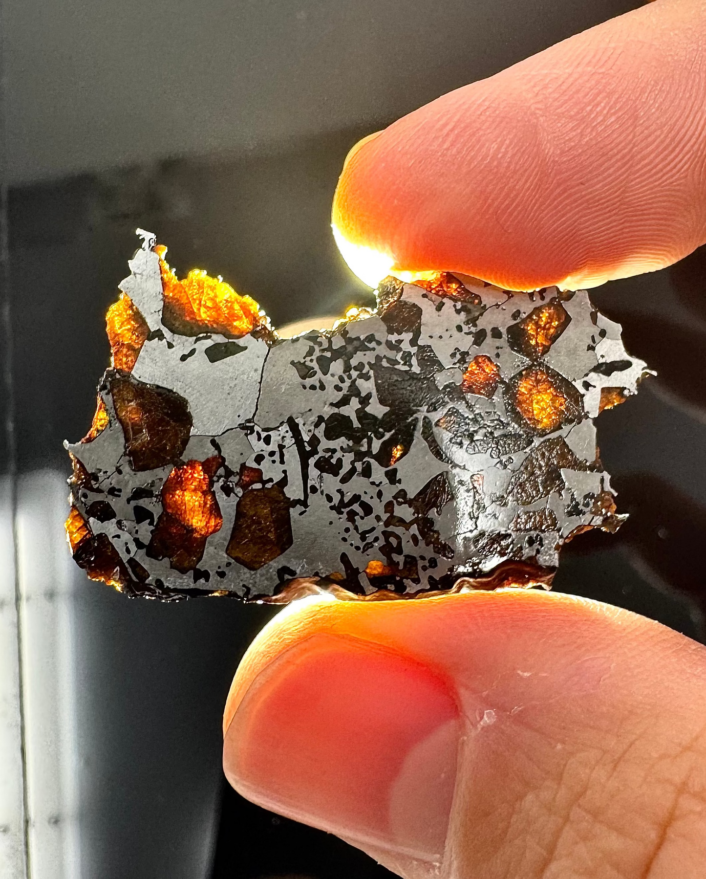 Beautifully Translucent Hassi El Biod 002 Meteorite - 4.9g - A Rare, Ungrouped Olivine/Pyroxene Filled Pallasite!
