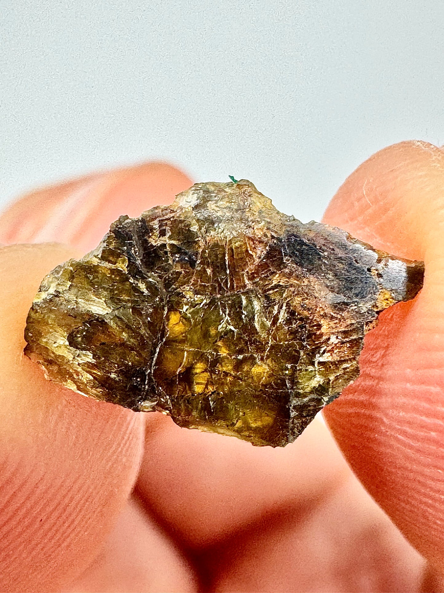 NWA 7831 Super Translucent Diogenite Meteorite - 0.3g - Parent Body: Asteroid Vesta