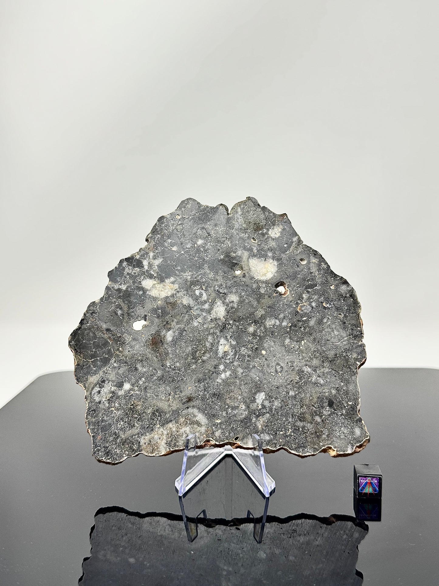 79.8g Lunar Troctolitic Melt - Full Slice - A Rare Lunar Meteorite