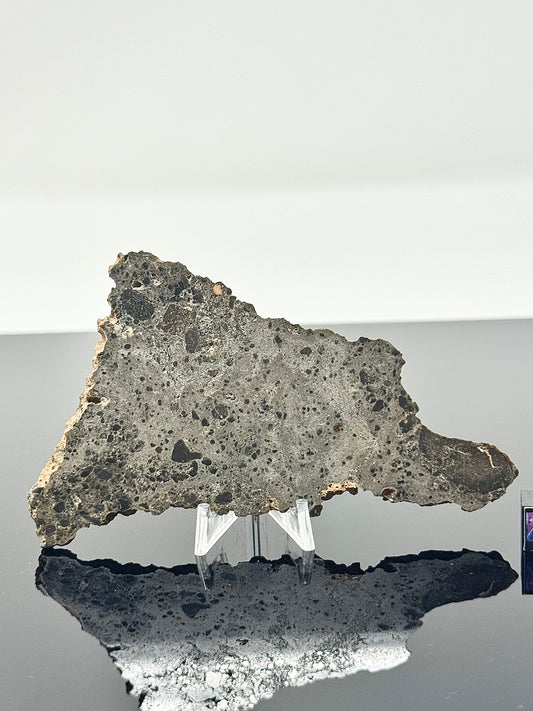 Unique and Rare NEA 089 Lunar Troctolitic Melt - 23.5g Full Slice - Lunar Meteorite From Deep Within The Moon’s Crust