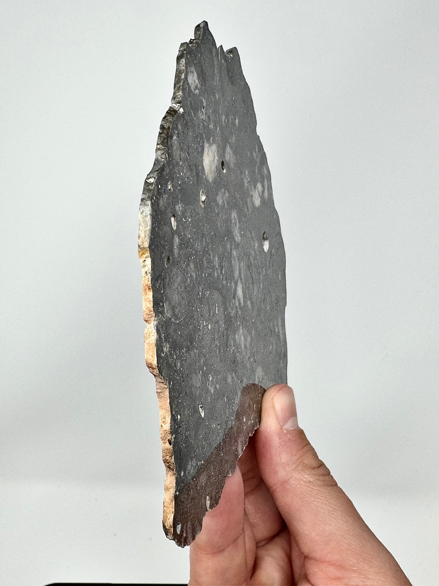 79.8g Lunar Troctolitic Melt - Full Slice - A Rare Lunar Meteorite