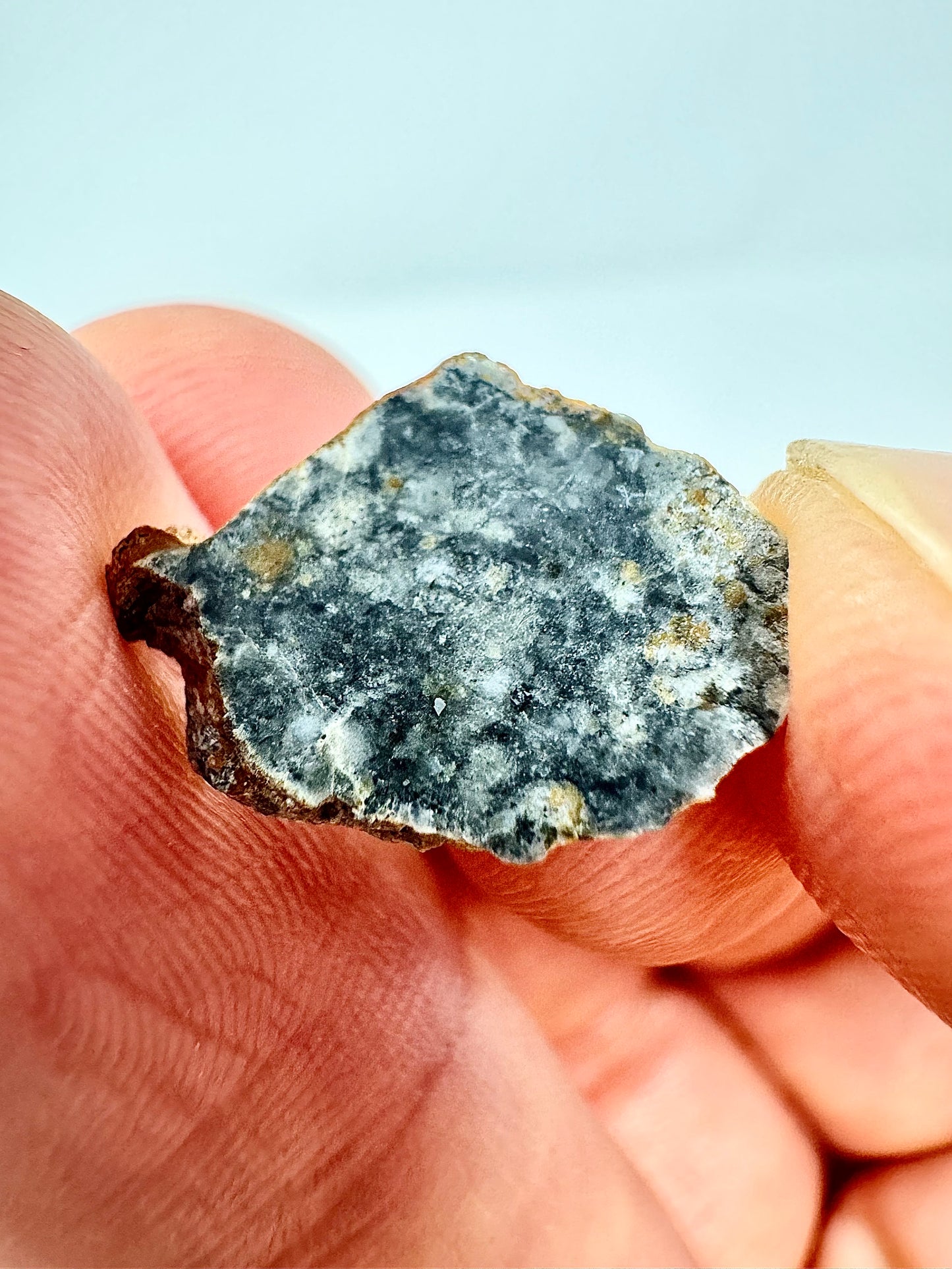 Bechar 003 Lunar Feldspathic Breccia 0.8g - Polished