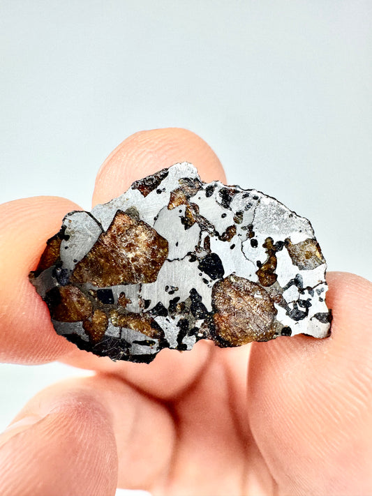 Hassi El Biod 002 Meteorite 1.8g End Cut - A Rare, Ungrouped Olivine-Filled Pallasite!