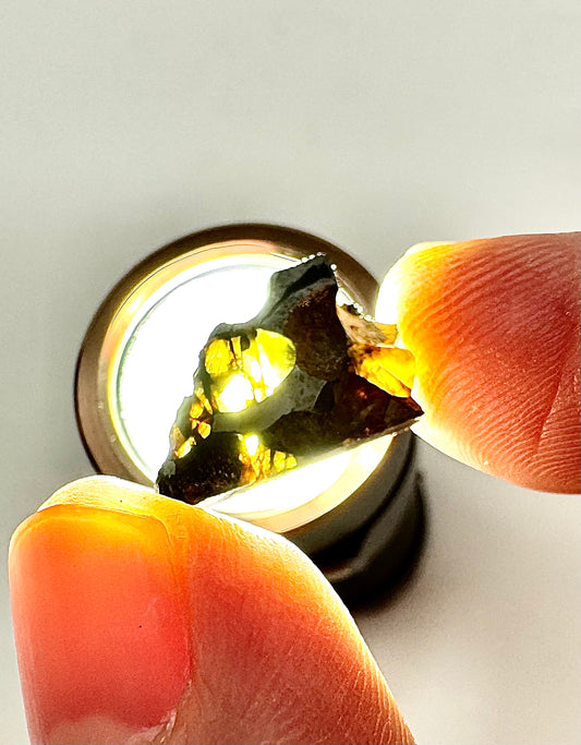 Brahin Pallasite Meteorite - 1.3g - From The Mantle/Core Of An Asteroid - Grade A Translucency