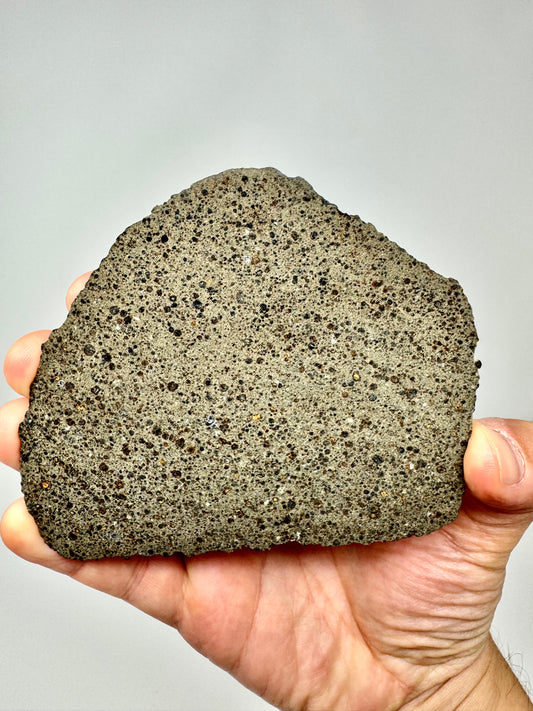 FULL SLICE! NWA 16314 Carbonaceous Chondrite - CK5 Meteorite - 68.1g - From A Carbonaceous Asteroid!