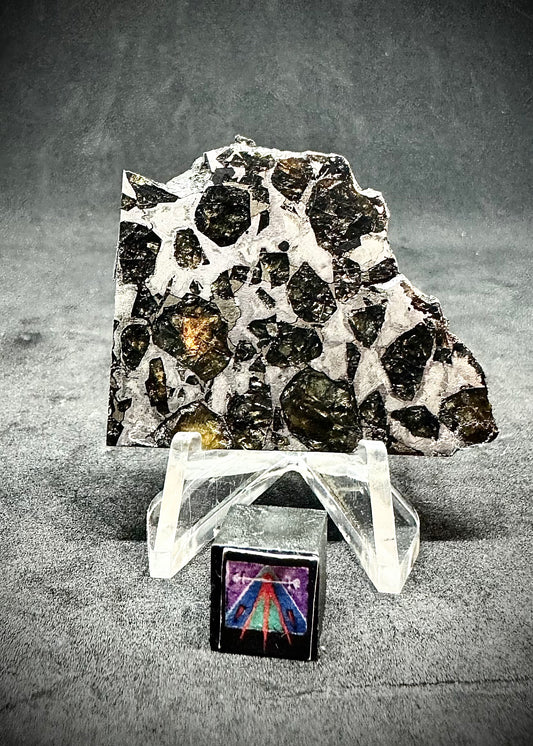 Brahin Pallasite Meteorite - 19.1g