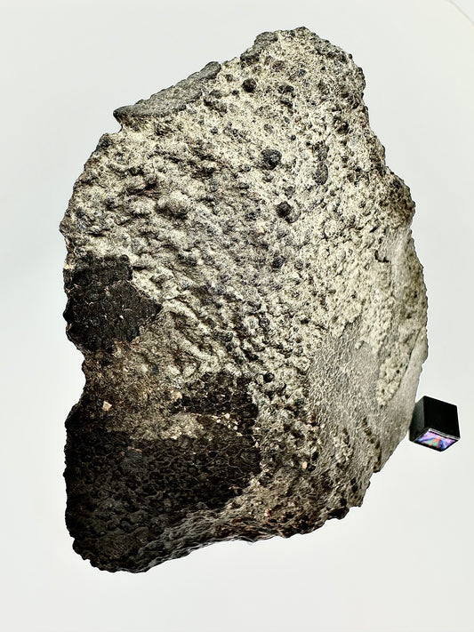 NWA 16314 Carbonaceous Chondrite CK5 Meteorite End Cut w/ Fusion Crust - 281.6g