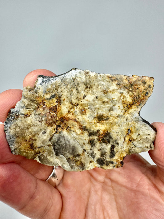 Djoua 001 Enstatite Achondrite Meteorite - Beautiful Metal Inclusions! 15.4g