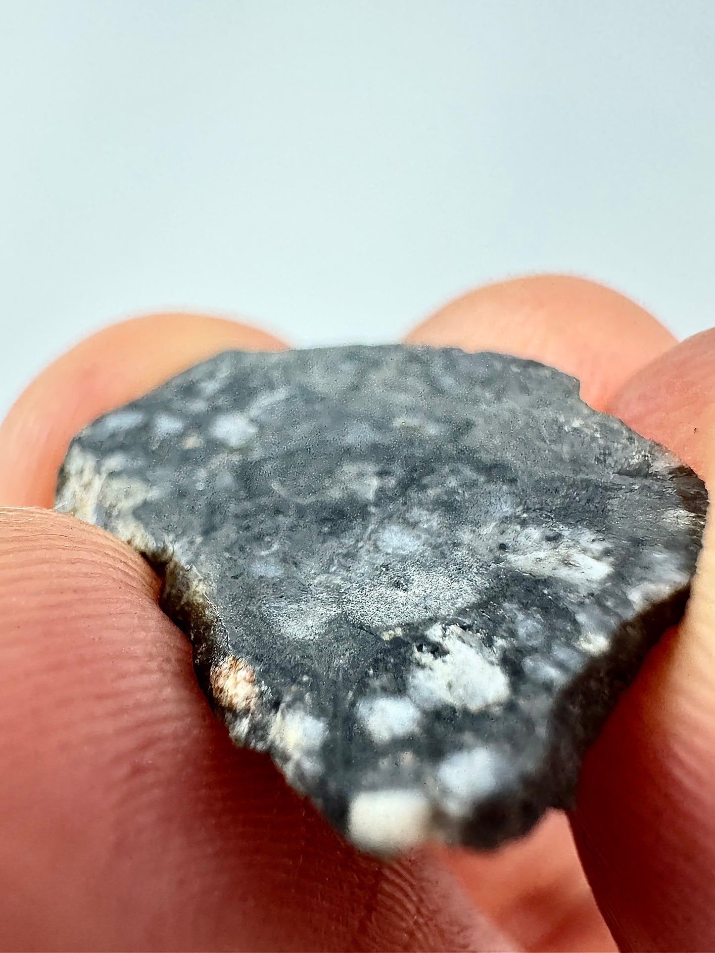 1.4g Bechar 003 Lunar Feldspathic Breccia - End Cut - From Our Moon!