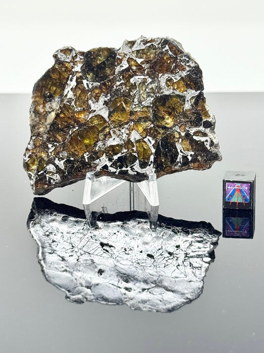 40.7g Admire Pallasite Meteorite - From The Mantle/Core Of An Asteroid - Grade B Translucency