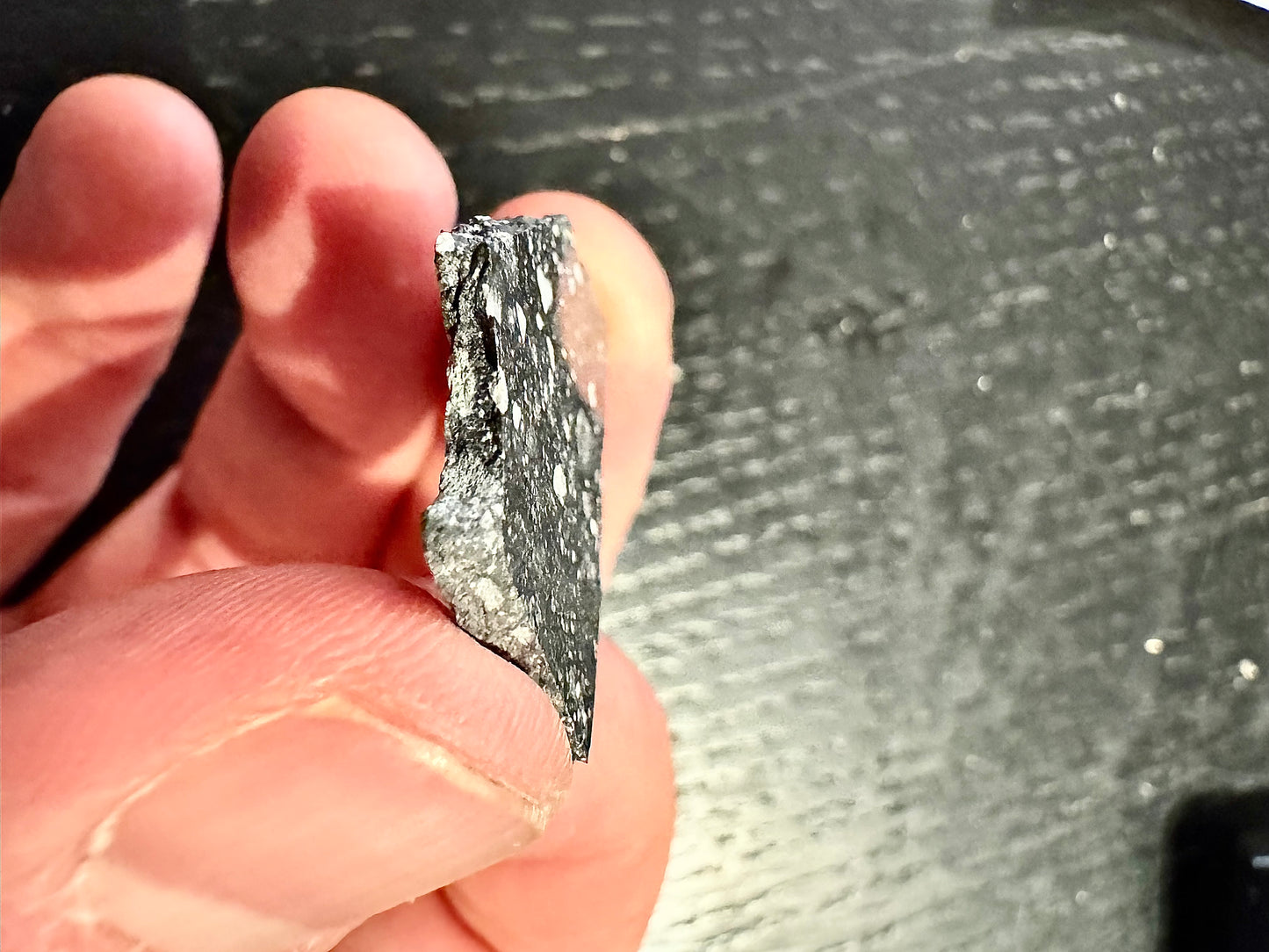 NWA 17679 Lunar Breccia - A Genuine Piece Of Our Moon! 2.7g