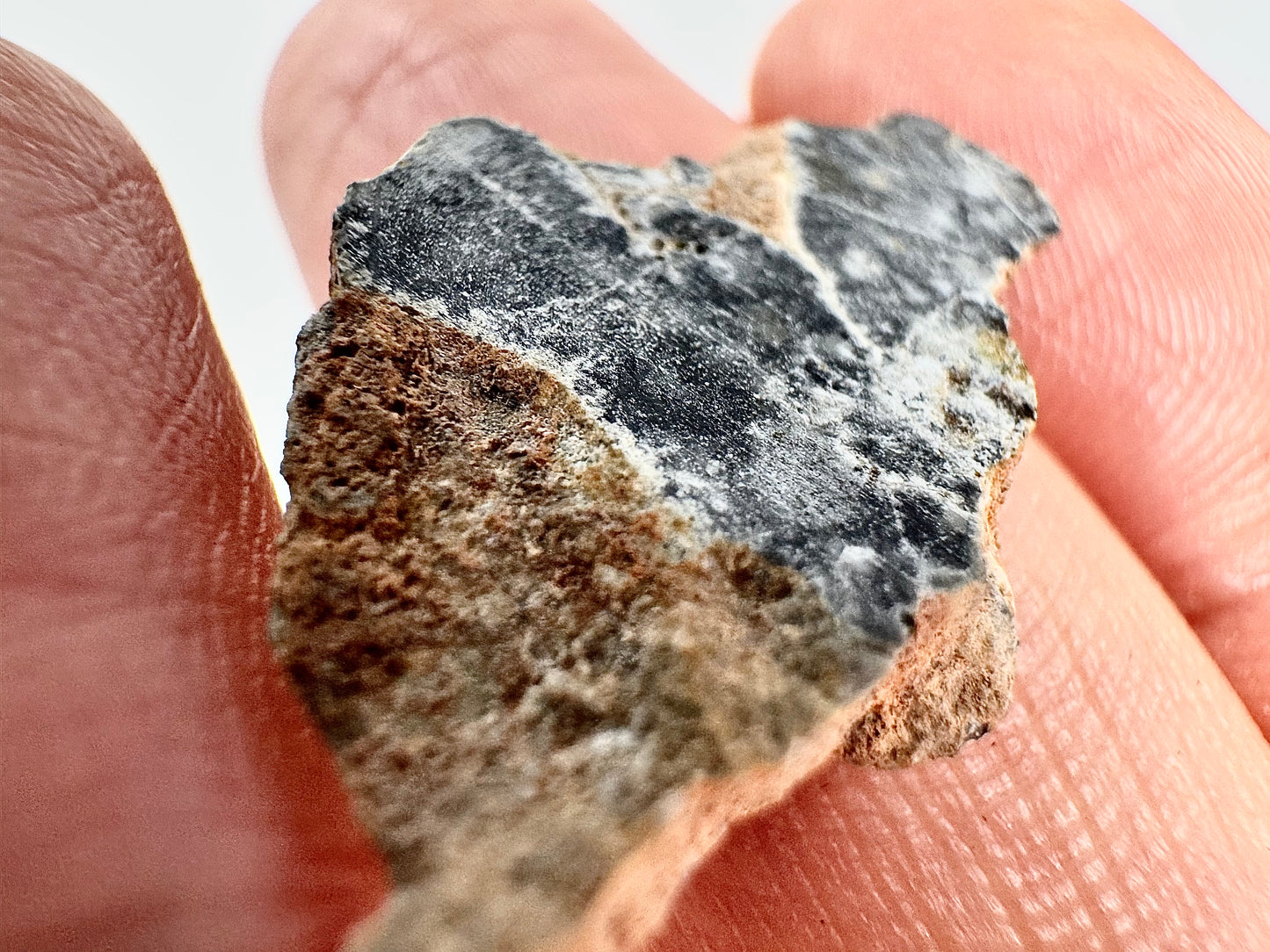 1.7g Bechar 003 Lunar Feldspathic Breccia - From Our Moon!