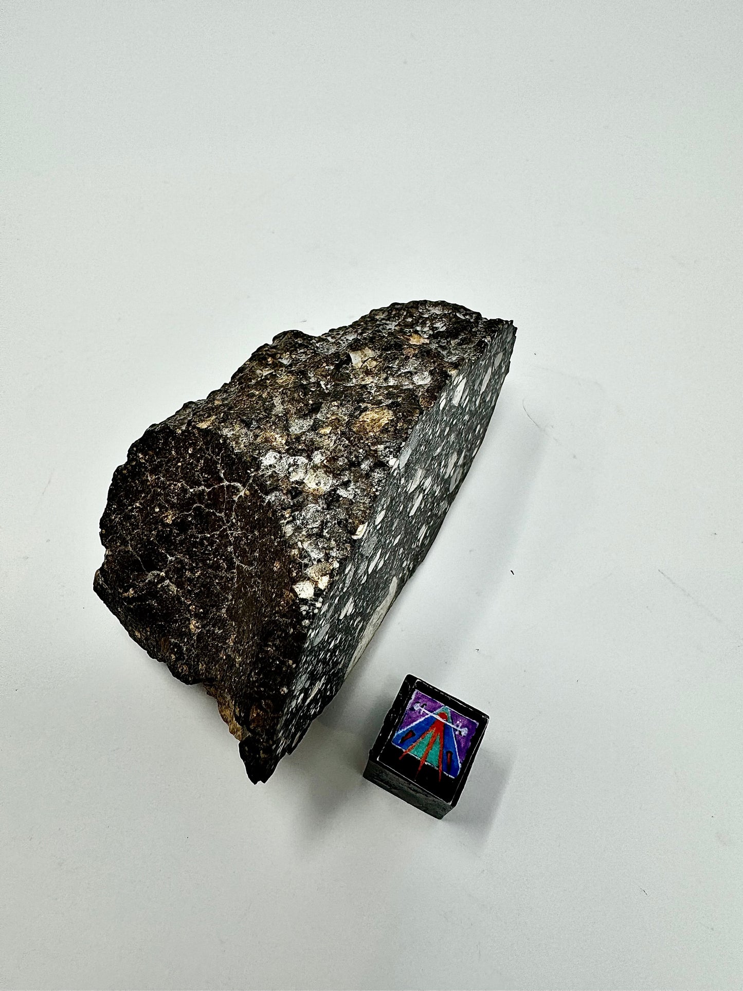 Massive Chunk of the Moon - NWA 14685 Lunar Fragmental Breccia End Cut - Polished - 80.9g