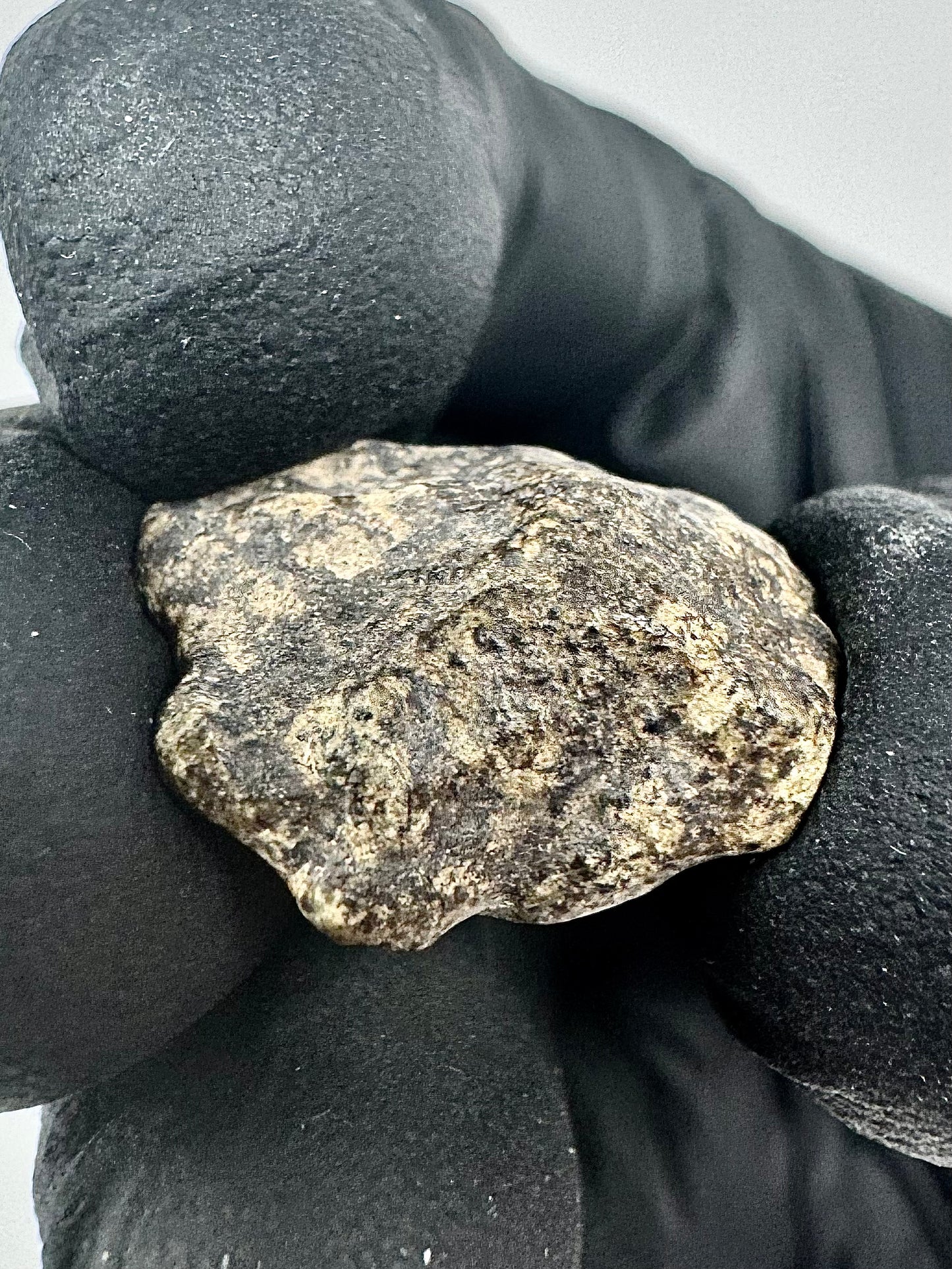 3.1g Genuine Martian Meteorite Amgala 001 - Whole Individual! Scientifically Studied Rock From Planet Mars