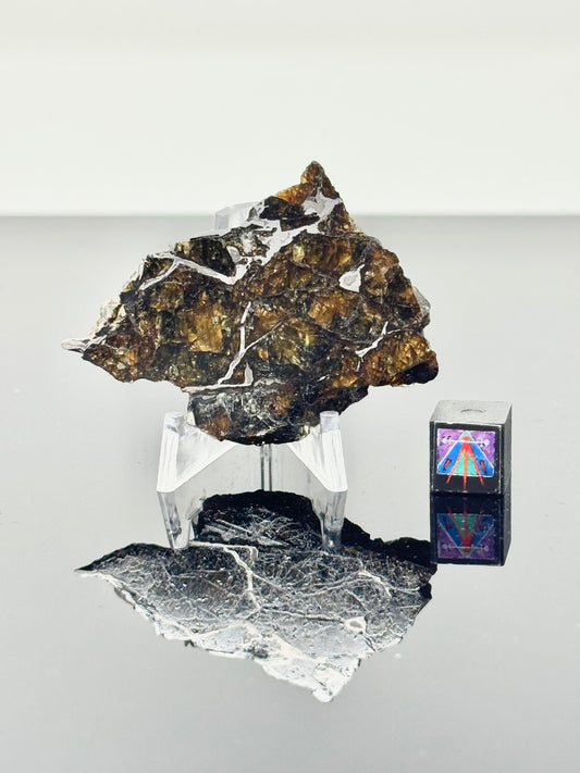 10.7g Admire Pallasite Meteorite - From The Mantle/Core Of An Asteroid - Grade B Translucency