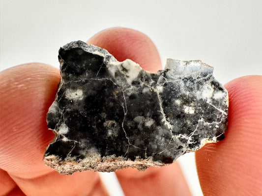 2.1g Bechar 003 Lunar Feldspathic Breccia with metal inclusions from impact in space! Polished