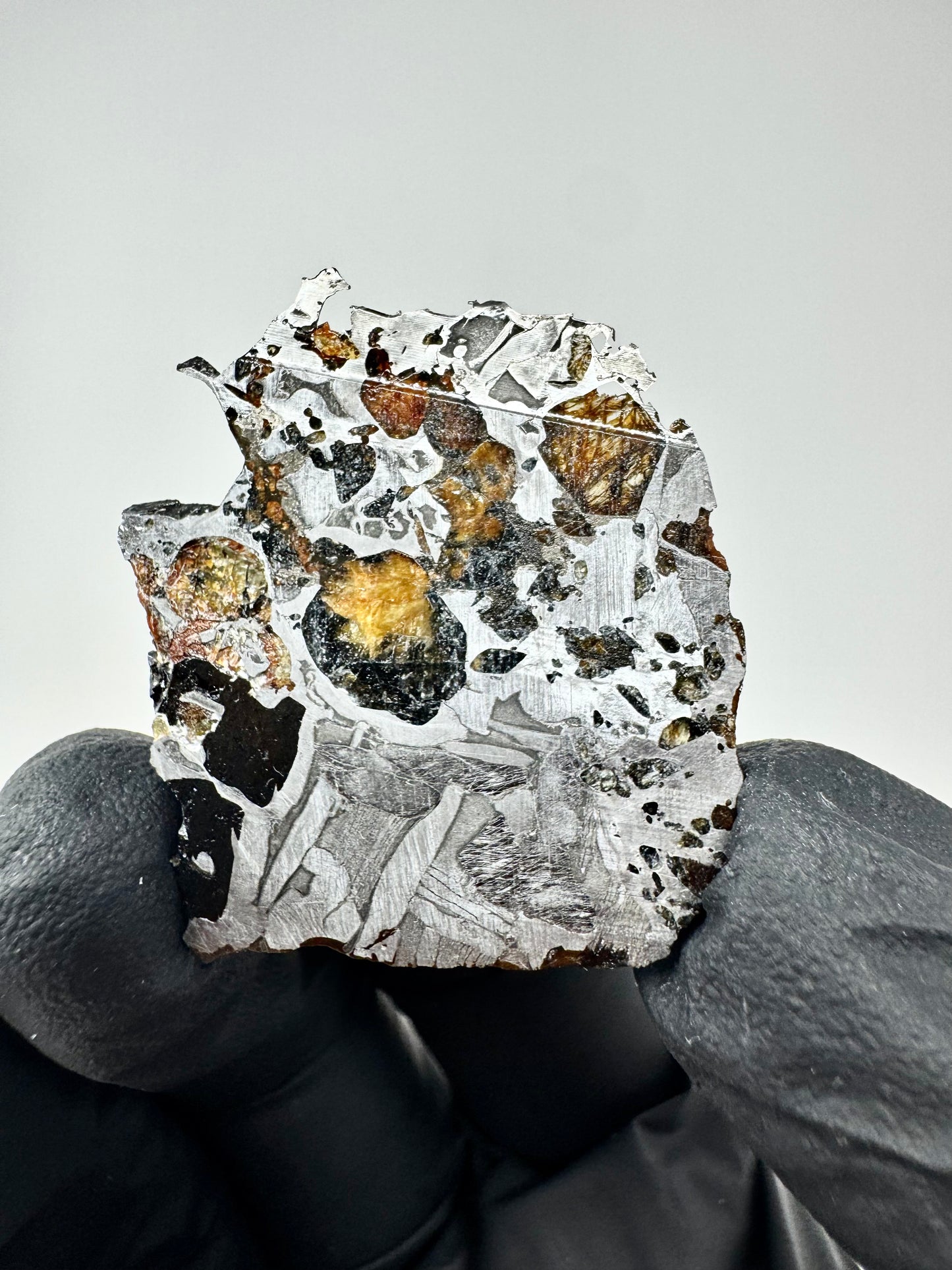 Seymchan Pallasite Meteorite - 7.0g