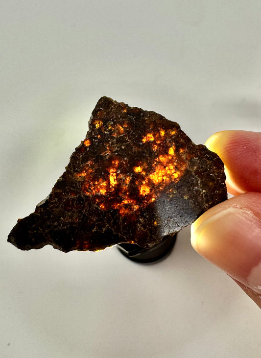 2.6g NWA 16317 Translucent Diogenite Meteorite - Parent Body: Asteroid Vesta