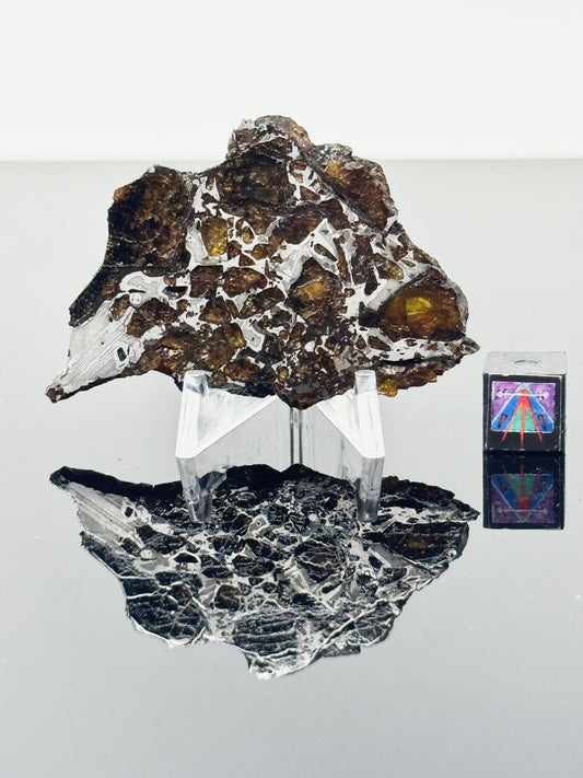 18.0g Admire Pallasite Meteorite - From The Mantle/Core Of An Asteroid - Grade B Translucency